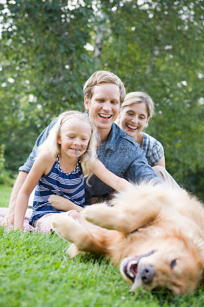 一家人与金毛猎犬在公园玩耍图片