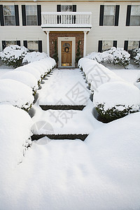 雪中的房子和花园图片