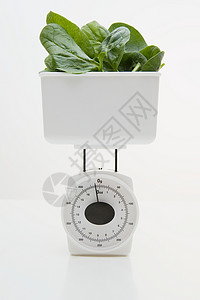 菠菜体重秤健康饮食高清图片素材
