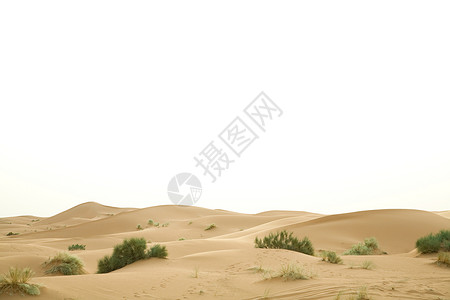 摩洛哥撒哈拉沙漠中的沙丘背景图片