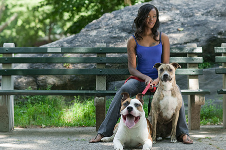 女人和她的两只狗坐在公园长椅上高清图片