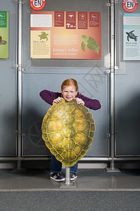 站在凯姆斯里德利海龟壳后面的女孩背景图片