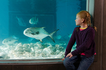 看鱼孩子在水族馆看鱼的女孩背景