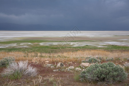 美国犹他州羚羊岛大盐湖图片