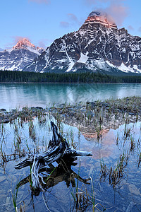 加拿大亚伯达班夫国家公园下水禽湖和切弗伦山图片