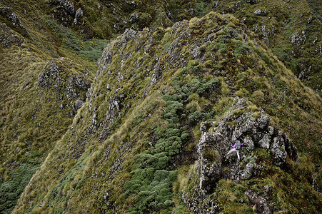 新西兰塔拉拉山脊的女性徒步旅行者远眺图片