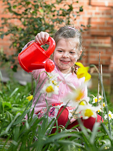 女孩浇花在花园浇花的女孩背景