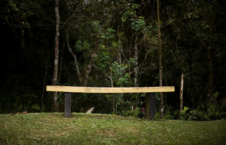 马来西亚基纳巴卢山森林中的黄色长椅图片