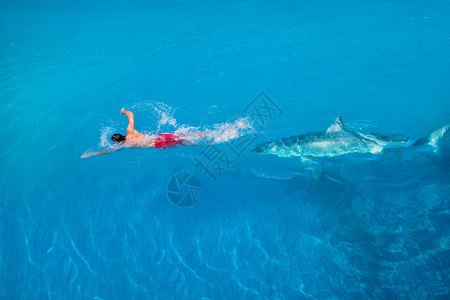 游泳裤被鲨鱼追赶的男人背景