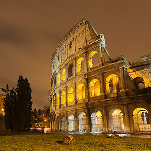 罗马竞技场晚上亮着背景图片