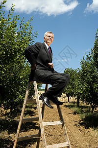 坐在果园梯子上的男人高清图片