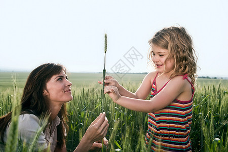 拿着小麦的妇女和儿童开心高清图片素材