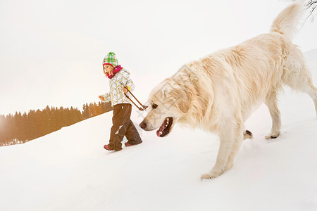 女孩在雪地里遛狗图片