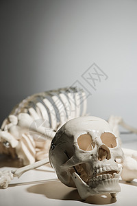 人类头骨背景图片