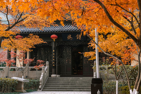 南京栖霞山栖霞寺4A景区高清图片素材