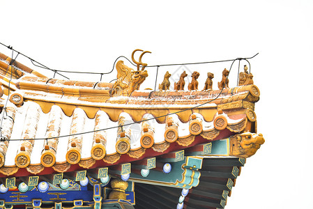 北京故宫博物院故宫屋脊神兽雪景图片