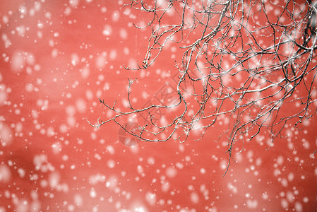 红色雪花北京故宫红墙的雪景背景