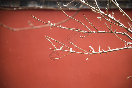 红色雪景北京故宫红墙的雪景背景