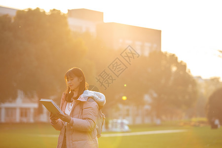 月光下看书的人夕阳下的女大学生背景