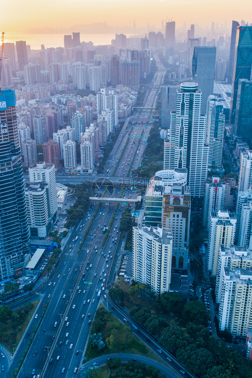 深圳滨河大道图片