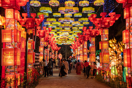 物质深圳欢乐灯会背景