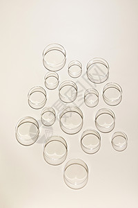 研究用具透明玻璃培养皿背景
