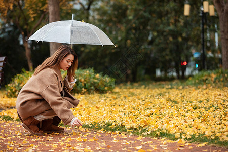 秋季雨天美女撑伞拾银杏叶背景图片