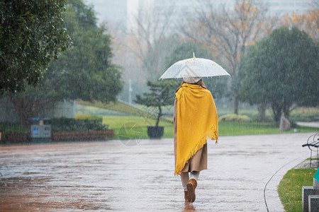 雨季少女下雨天美女公园里散步背影背景