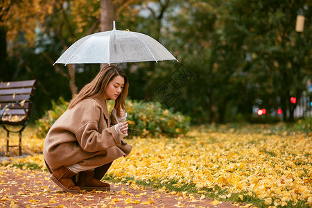 秋季雨天美女撑伞拾银杏叶高清图片