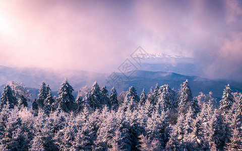 黄陵国家森林公园冰天雪地雾凇风光背景