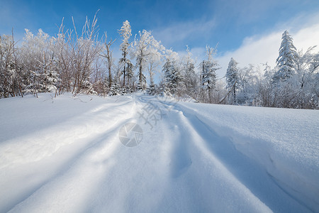 吉林长白山雪地车辙印高清图片