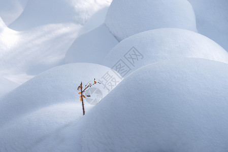 吉林龙湾群国家森林公园东北冰雪特写高清图片