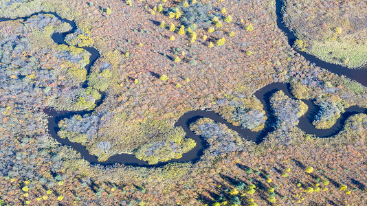 伊春翠北湿地秋天的风景背景