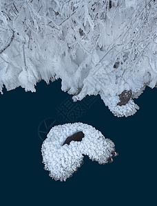 东北冰雪世界风光图片素材