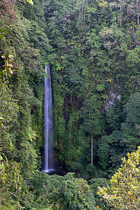 打卡巴厘岛印尼Sukasada瀑布背景