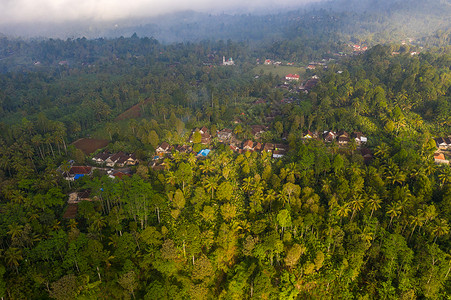 印尼热带雨林航拍自然高清图片素材