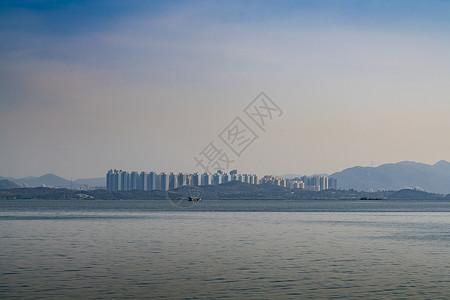 深圳湾境外香港居民楼高清图片