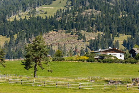 绿色生态的阿尔卑斯山区自然风光图片