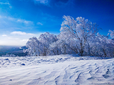 下雪天黑龙江雪乡森林美景背景