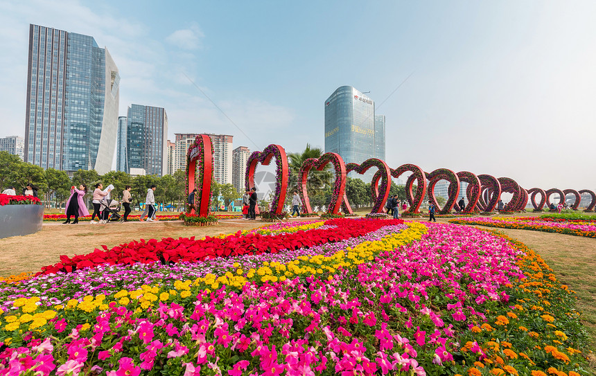 深圳宝安区迎春花市图片