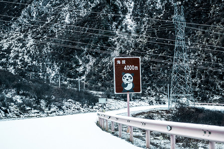 路标牌川西雪天道路熊猫标牌背景