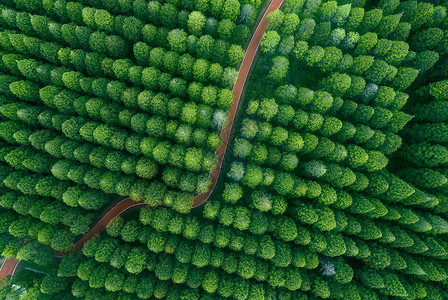 植树环保航拍湿地绿洲背景