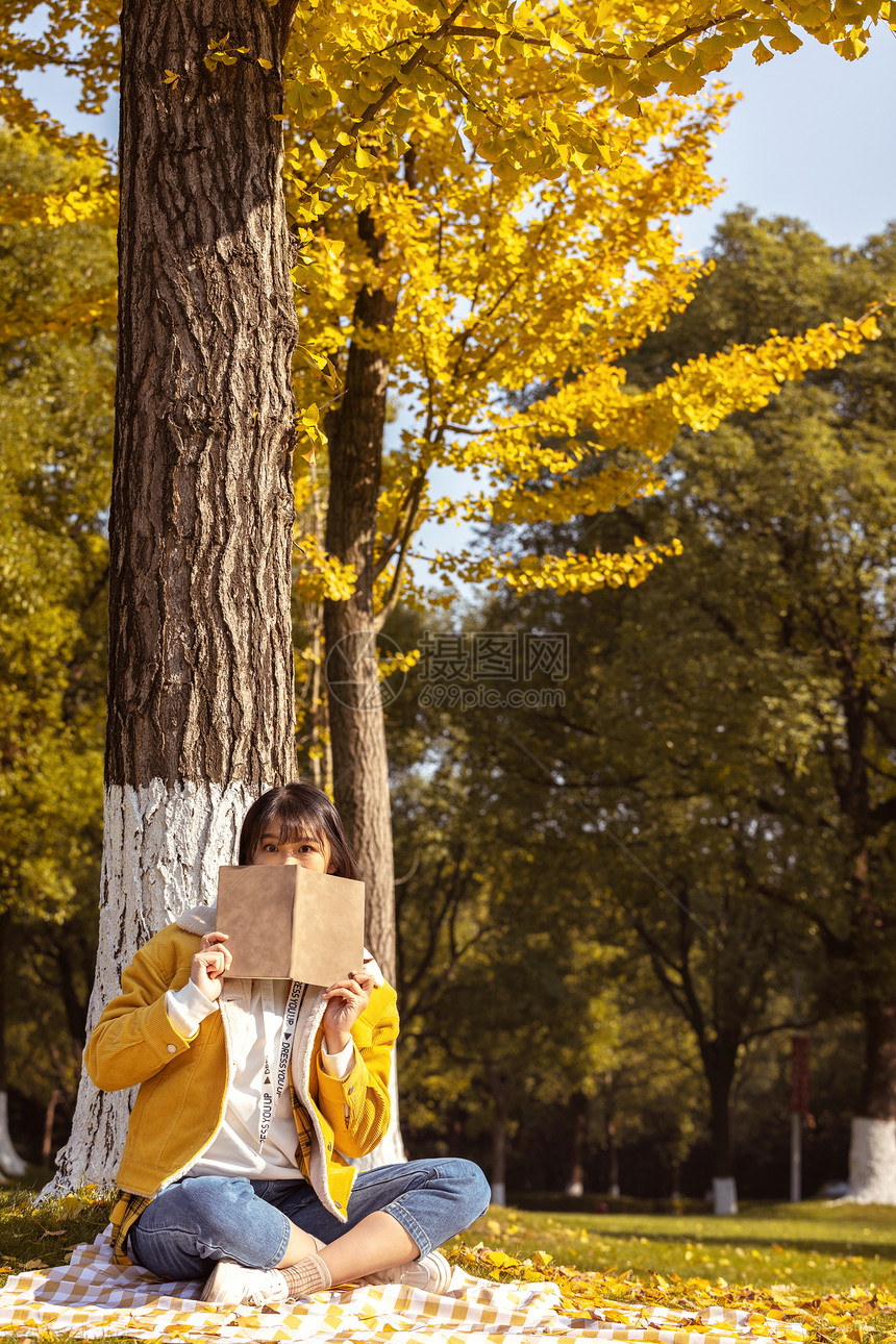 坐在银杏树下看书的甜美女孩图片