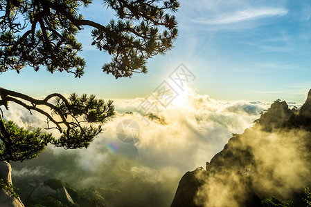 黄山云雾黄山自然风光背景