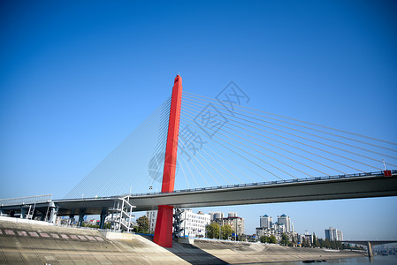 至喜长江大桥图片