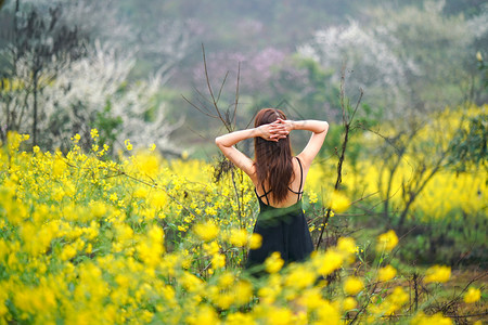 油菜花海美女观花背影高清图片