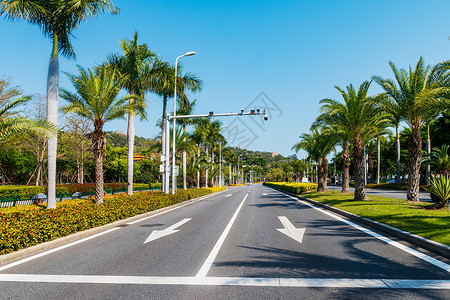 环岛公路绿化环岛高清图片