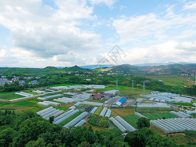 湖南农业航拍农业种植基地背景