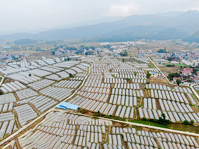 农业生产基地航拍农业种植基地背景