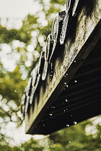 春天雨天杭州灵隐寺春天下雨的寺庙屋檐背景